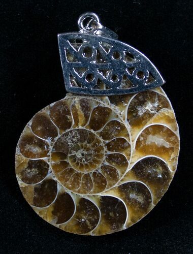 Ammonite Fossil Pendant #7071